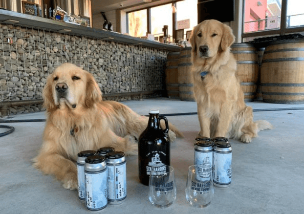 Американская пивоварня доставляет заказы на дом с помощью псов