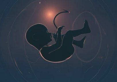 «Мы живем и работаем по графику, который диктует сама природа»: интервью с эмбриологом Центра репродукции «Линия жизни» Еленой Захаровой